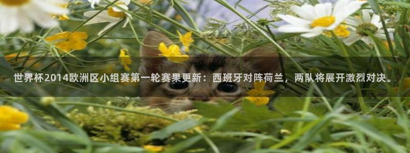 2026世界杯：世界杯2014欧洲区小组赛第一轮赛果更新：西班牙对阵荷兰，两队将展开激烈对决。