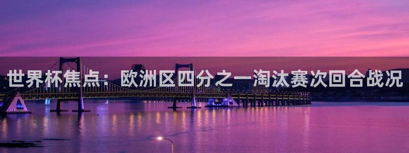 欧洲世界杯预选赛：世界杯焦点：欧洲区四分之一淘汰赛次回合战况
