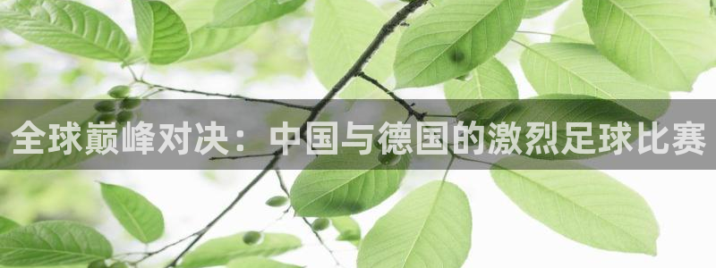 世界杯足球比赛：全球巅峰对决：中国与德国的激烈足球比赛