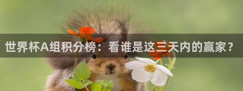 世界杯欧洲区世预赛赛程：世界杯A组积分榜：看谁是这三天内的赢家？