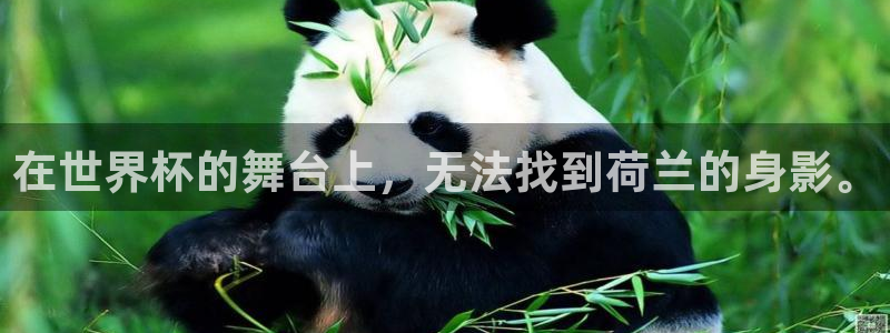 欧洲世预赛赛程表：在世界杯的舞台上，无法找到荷兰的身影。
