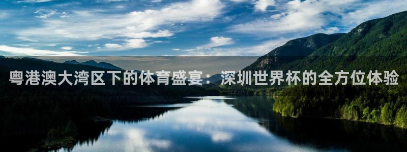 世界杯在线直播：粤港澳大湾区下的体育盛宴：深圳世界杯的全方位体验