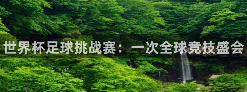 国际足联世界杯：世界杯足球挑战赛：一次全球竞技盛会