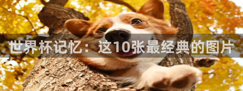 世界杯决赛预测：世界杯记忆：这10张最经典的图片