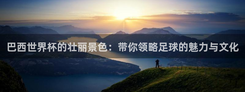 世界杯决赛直播:巴西世界杯的壮丽景色:带你领略足球的魅力与文化